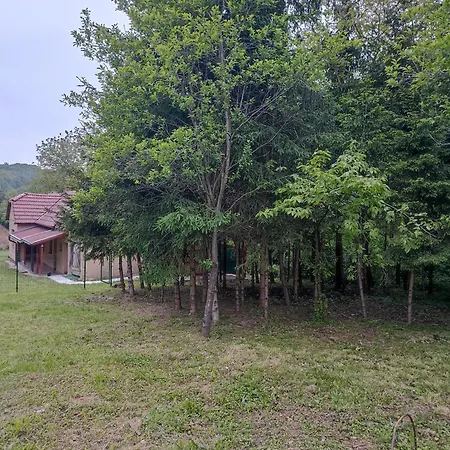Orsegi Kucko *